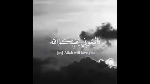 آيات من الذكر الحكيم / القران الكريم / حالات واتساب اب / ستوري أنيستا