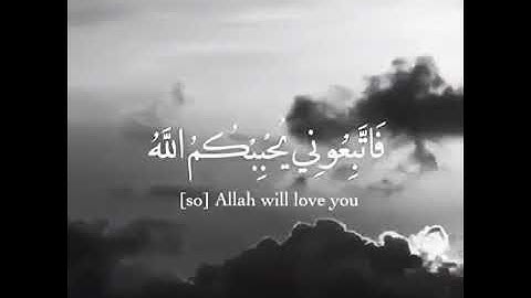 آيات من الذكر الحكيم / القران الكريم / حالات واتساب اب / ستوري أنيستا