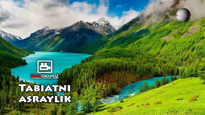 Kokrak qafasidagi ignalar BDSM