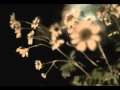 mama!milk / flowers（あるいは花を捧げるということ）