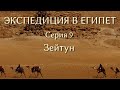 Экспедиция в Египет. 9. Зейтун