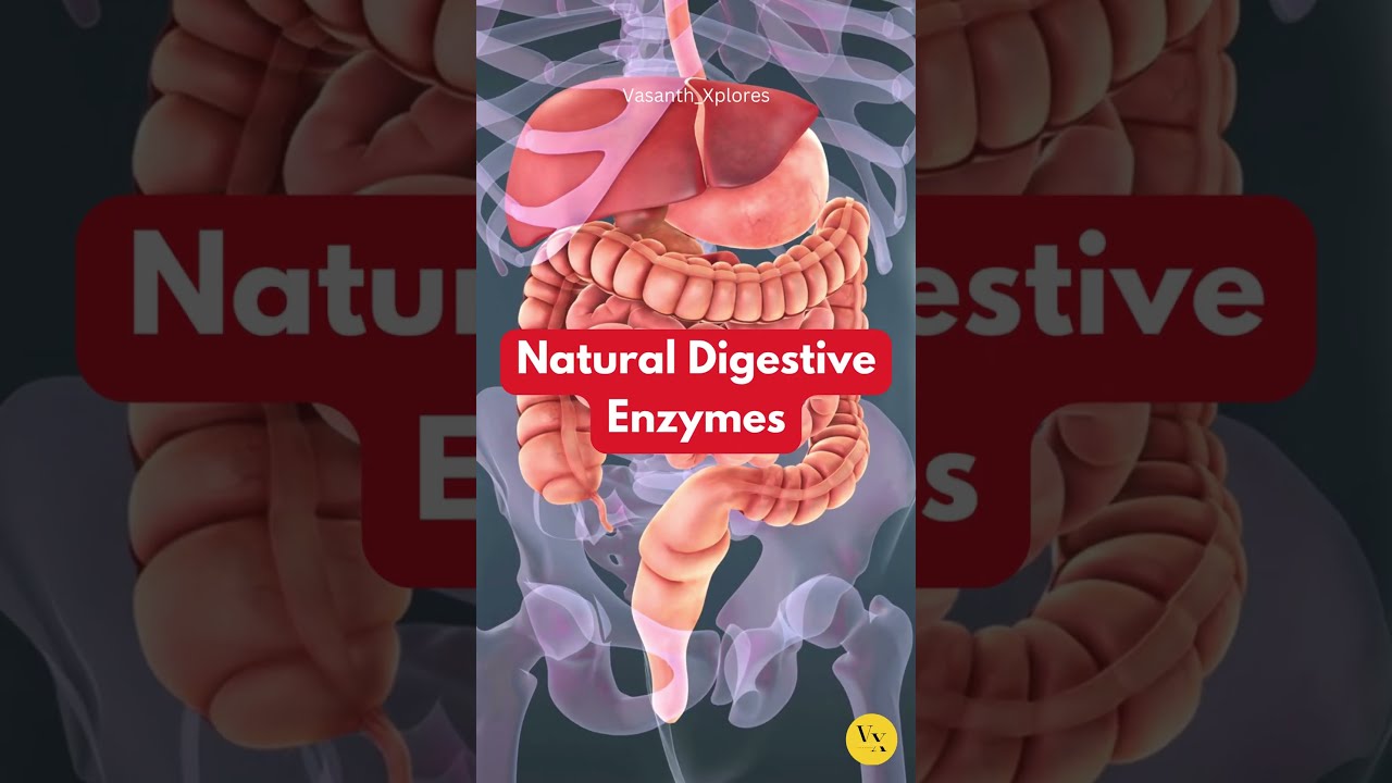 Boost Your Gut Health Naturally: The Power of Digestive Enzymes!"