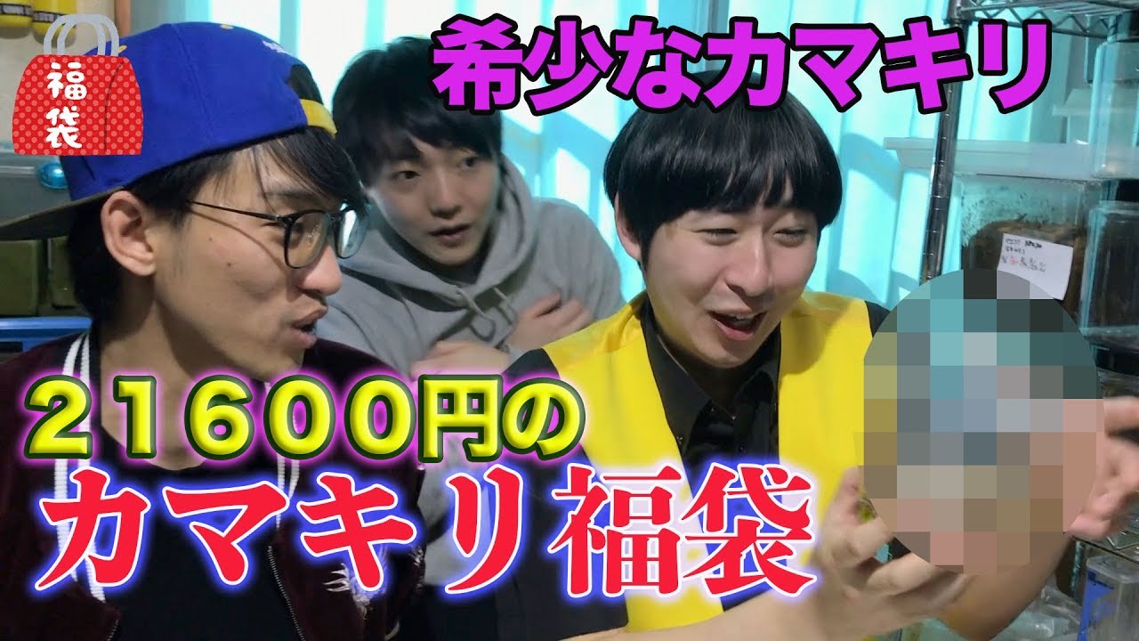 【希少】虫福袋（カマキリ福袋）を開封！！