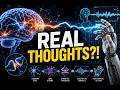 The Hidden Machine Inside Your Brain Explained
