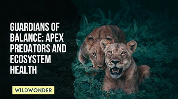 Ecosystem Guardians: Exploring the Vital Role of Apex Predators
