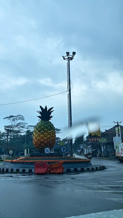 Tugu Nanas Jalan Cagak #jalancagak #subang #subangselatan #kabupatensubang #subangjawabarat
