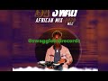 African Party Afrobeats Mix [2020] DJ Swag x Davido x Tiwa Savage x MC Caro x Patoranking  And More