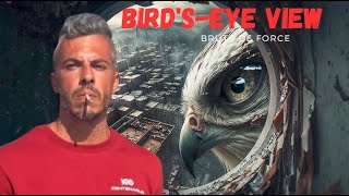 BIRD'S-EYE VIEW | BRUTE DE FORCE