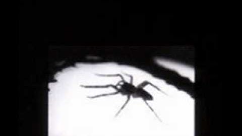 Slint - Breadcrumb Trail