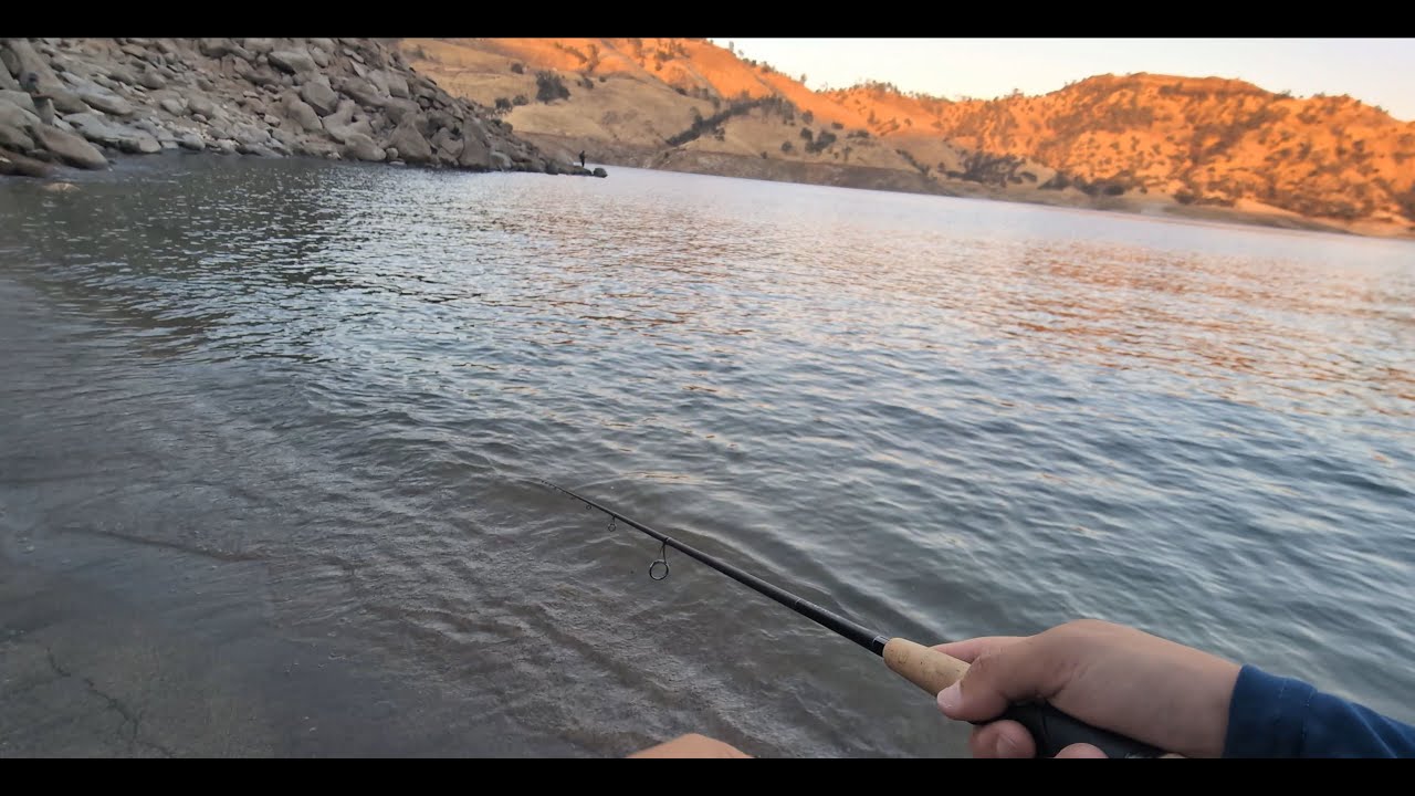 Millerton Lake, Ca | Bass Fishing ˢᵏᵘⁿᵏ