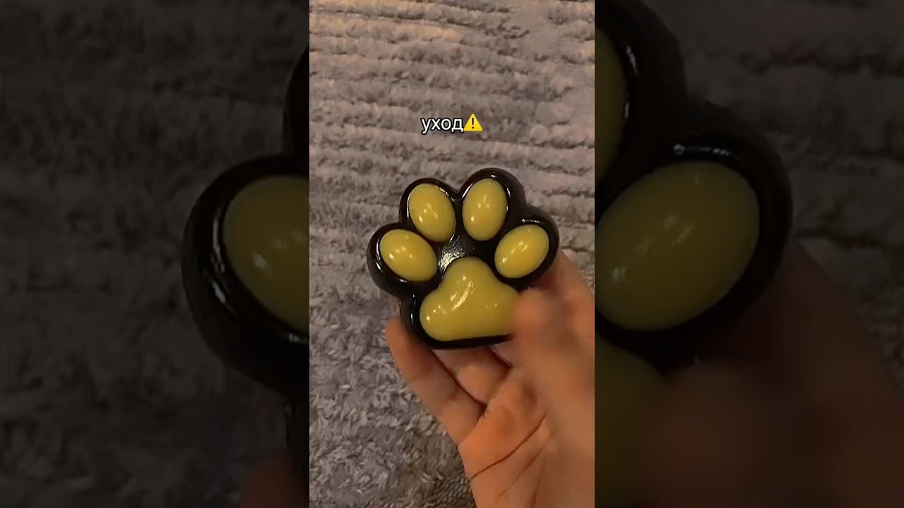 Уход за Лапкой) #сквиши #лапки #табалапка #уход #антистресс #залипашка #squishy #slime #shorts #fyp