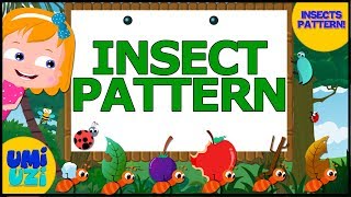 Pattern Learning with Insects | Educational Video For Kids