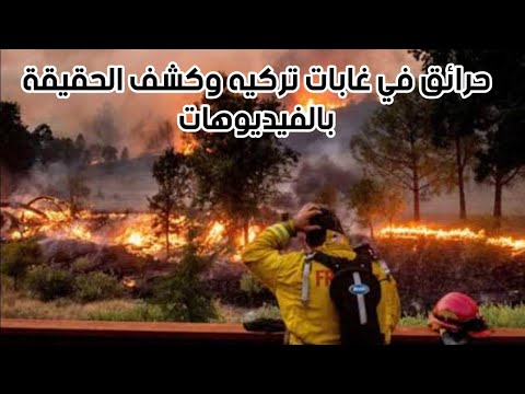 السبب الحقيقي وراء حرائق الغابات ف تركيا ومن هو الفاعل | شاهد جميع فيديوهات الحرائق