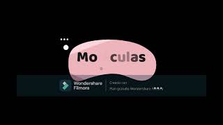 Cómo Construir Moléculas 2D Y 3D Con Biomodel?