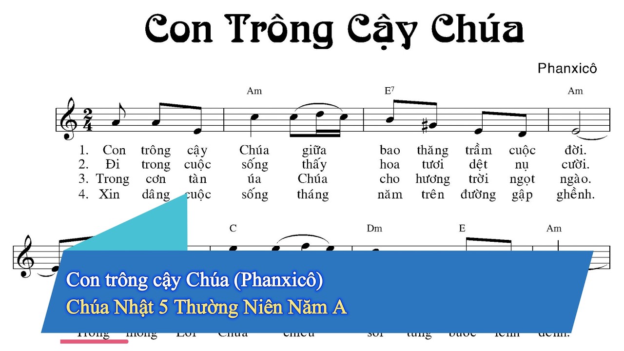 Con trông cậy Chúa (Phanxicô) - Chúa Nhật 5 Thường Niên Năm A #CTCC