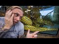 WHY IS MY ANACONDA NOT FEEDING?? WHAT'S WRONG?? | BRIAN BARCZYK
