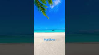 morning friends #youtube #shorts #maldives #tourism #traveller #traveeling #shortsvideo #shortsfeed