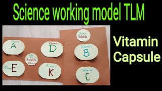 Vitamin Capsule Science working model TLM for class 6 to 8| science TLM for primary school in Hindi