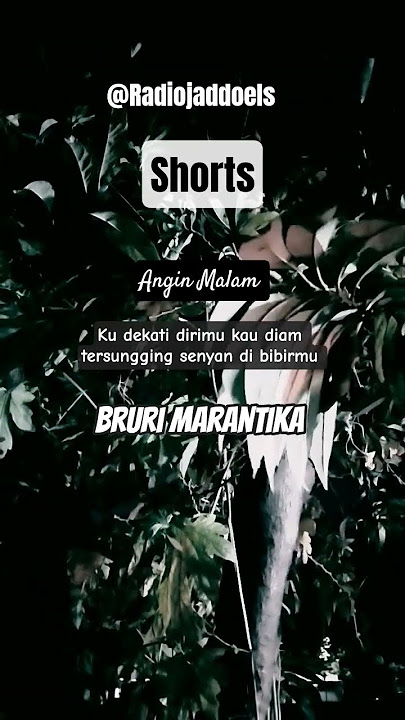 Angin Malam - Brury Marantika #shorts #storywa #nostalgia #lagu #popular @Radiojaddoels