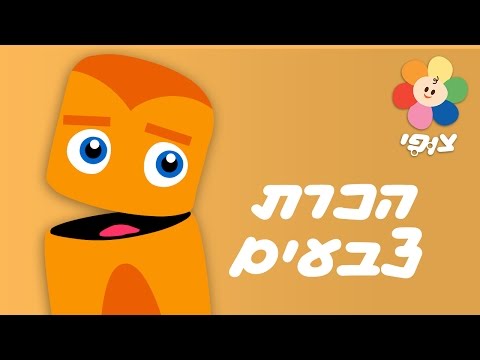 וִידֵאוֹ: איזה צבע משתלב עם כתום