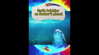 Earth Dolphins on Bashar's planet Net Worth