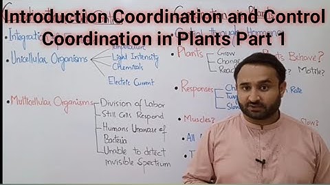 Ch 17 Lec 1 Introduction to Coordination and Control and Coordination in Plants