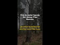 This monster haunts the Jersey Pine Barrens