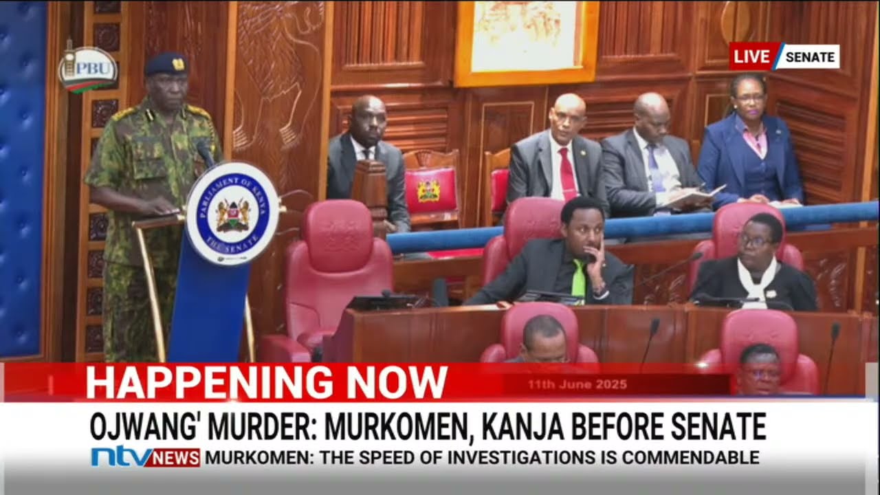 Top police bosses give their account over murder of Albert Ojwang