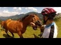 Horse Language & Warnings People Miss- Critical Horse Eyes - Foal Rejection-