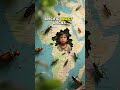 Bugs on dead body told investigators exactly when #movie #film