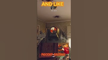 BO6 Bot Lobby Guide – Get Dark Matter Without the Grind!