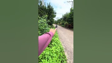 Bán vườn chôm chôm P Bình Lộc - ĐN