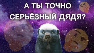 MEDOED, а ты точно серьезный дядя? MEDOED, а ты точно серьезный дядя?