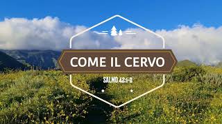 Video thumbnail of "Come il cervo anela l'acqua (con testo) As The Deer (With lyrics)"