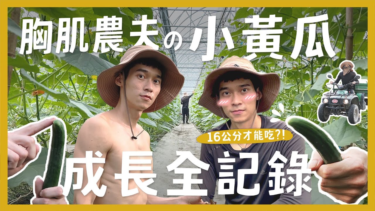 胸肌農夫的小黃瓜！原來種瓜這麼難？太大不能吃？當農夫能賺錢嗎？小黃瓜成長過程一個月全紀錄！｜內內