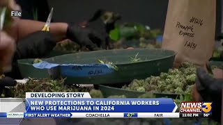 Law Protecting California Employees Who Use Marijuana Takes Effect In 2024