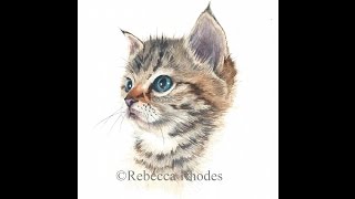 watercolor kitten painting tutorial