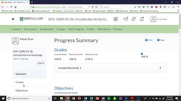 (Intro. to Soc.) How to Check Quiz Attempts on Brightspace