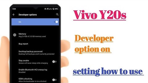 Vivo Y20s Developer option on setting hidden features how to use