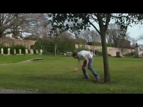 سقوط ورق شجرة