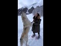 Howling with a gigantic white wolf