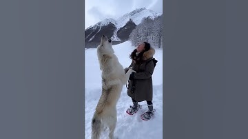 Thumbnail of Howling with a Gigantic White Wolf