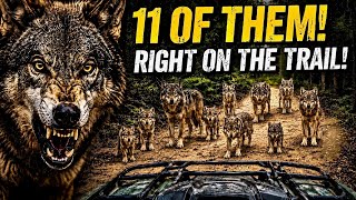 What Would You Do If You Came Across These Guys On Your ATV?