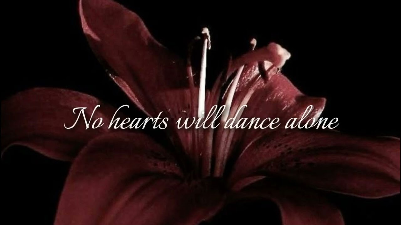 Shadow Dancer - Mr Kitty (Nightcore/Sped up + lyrics)