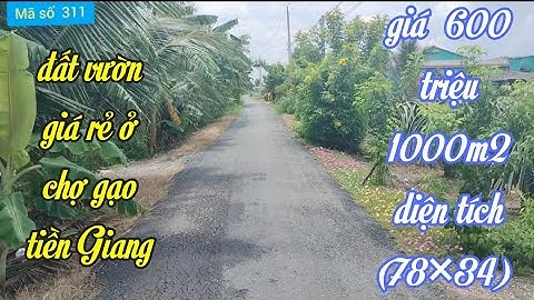 Bán đất vườn giá rẻ gần chợ ông văn giá  600 triệu  1000 m2 (78×34) @ms311