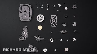 Savoir-faire RM 07-01 Automatic — RICHARD MILLE