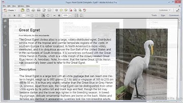 Adobe Acrobat XI Tutorial | Extracting And Replacing Pages
