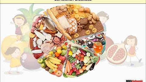 Components of Food | Class 6