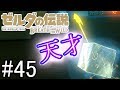 【BotWのんびり編】こんな発想ができる天才は俺くらいだな（白目）【ゼルダの伝説　ブレスオブザワイルド】