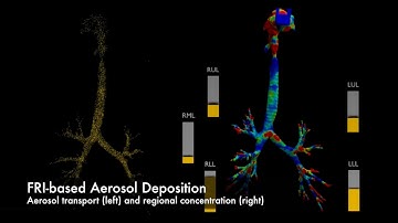 Deposition of inhaled aerosols